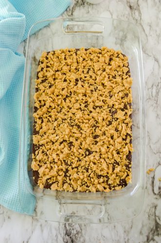 Crumb topping on peanut butter fudge bars.