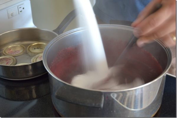 sugar being added to cooked blackberries in a big pot