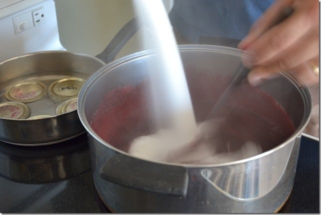 Sugar being added into a large pot of simmering blackberries to make blackberry jam