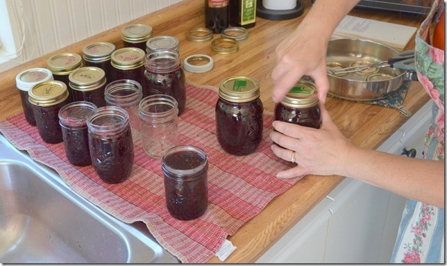 blackberry jam in jam jars sitting on a counter