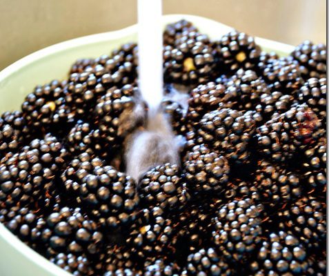 blackberries being rinsed