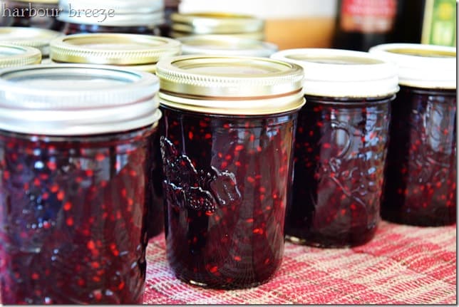 Canned blackberry jam sitting in rows on a counter