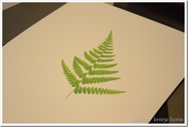 Print of a fern leaf on white cardstock