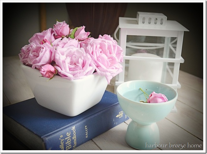 rose vignette ps
