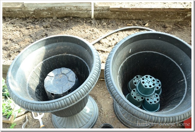container gardening step one container gardening step one