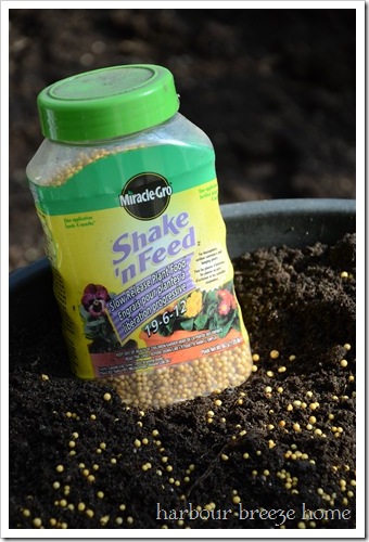 container gardening step two container gardening step two