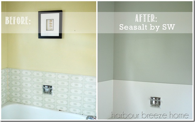 seasalt paint color before and after