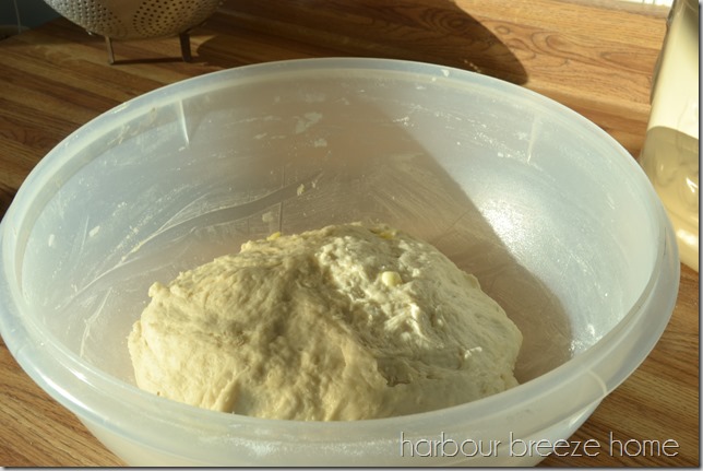 Dinner roll dough in a large bowl mixed up and ready to rise.