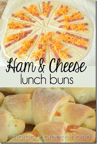 ham and cheese lunch buns at harbourbreezehome