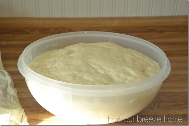 Old fashioned dinner rolls dough in a bowl after it has risen double in size.