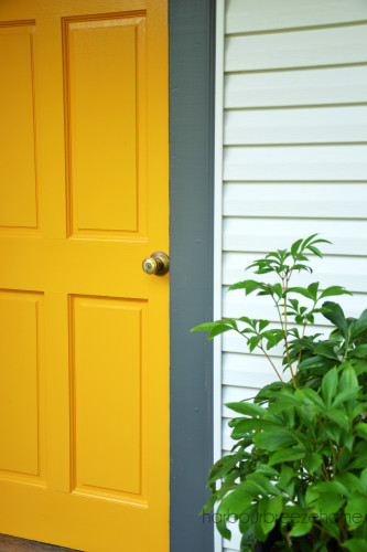 Yellow Marigold and Kendall Charcoal Front Door