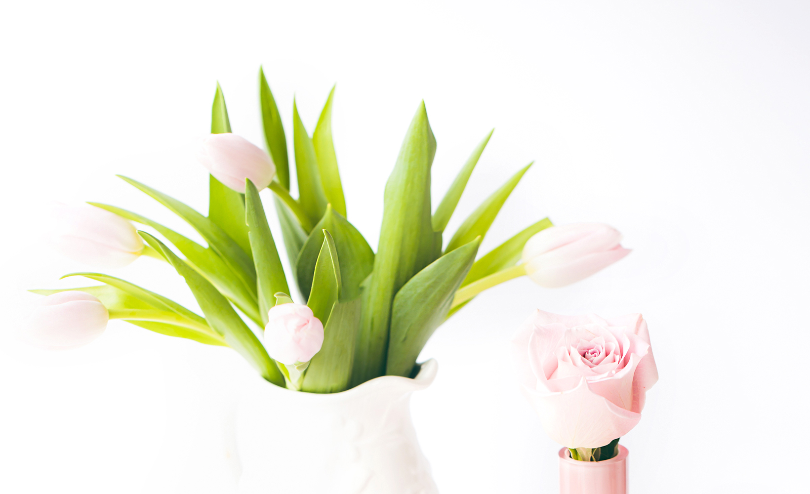 HOW TO START A HOME DECOR BLOG