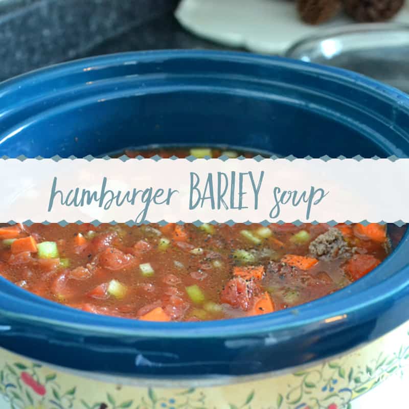 Hamburger Barley Soup