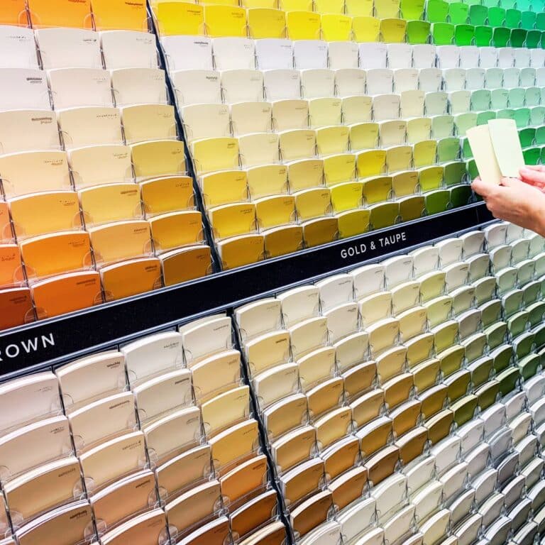 a woman choosing paint samples in a store