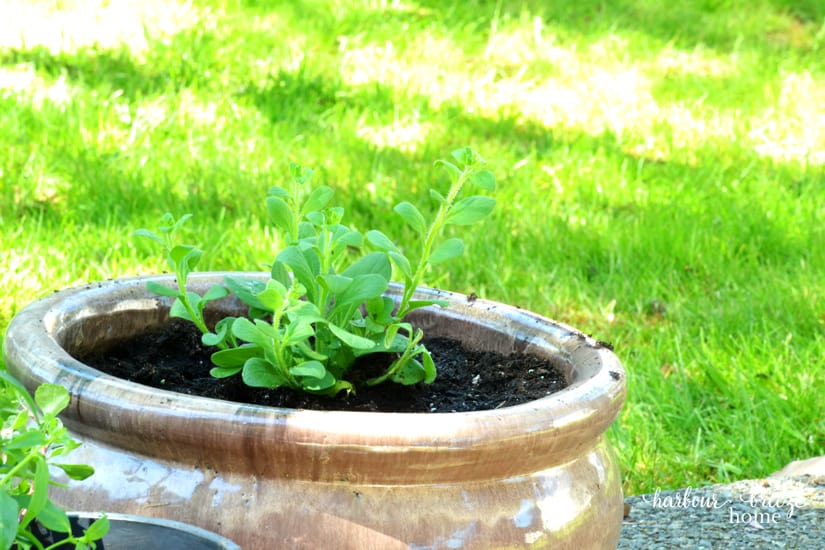 Urban patio styling