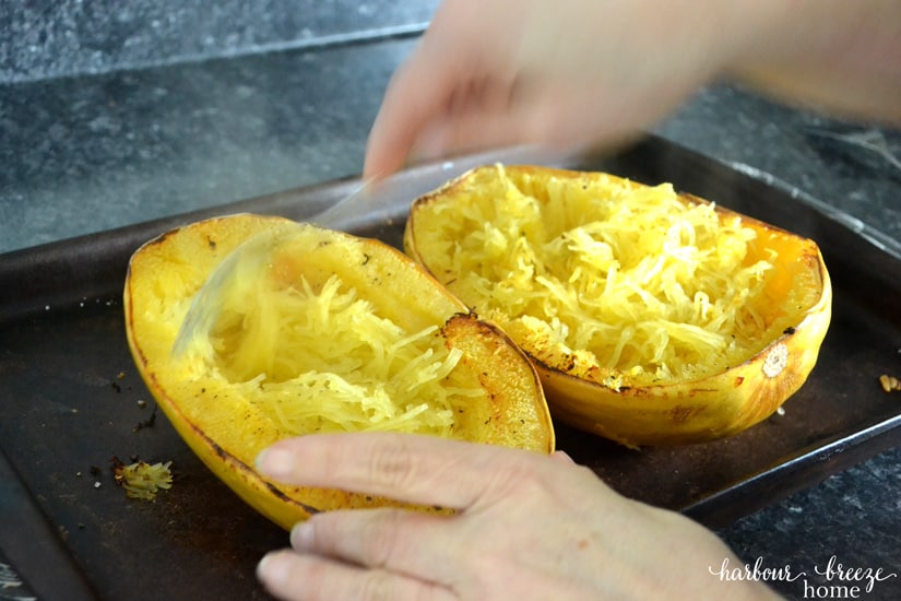 Super Skinny Chicken Alfredo with Spaghetti Squash