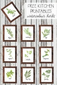 100+ Botanical Prints: Free Printables in Sets