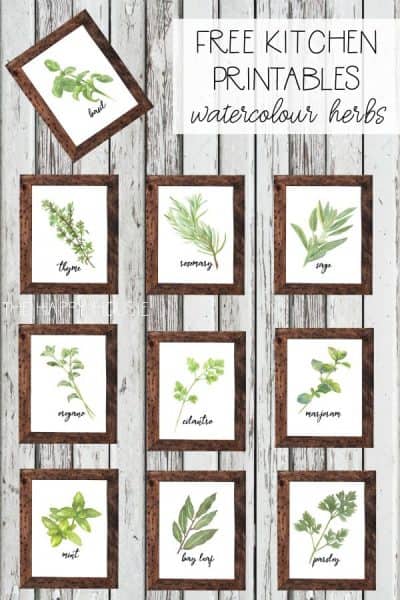 100+ Botanical Prints: Free Printables in Sets