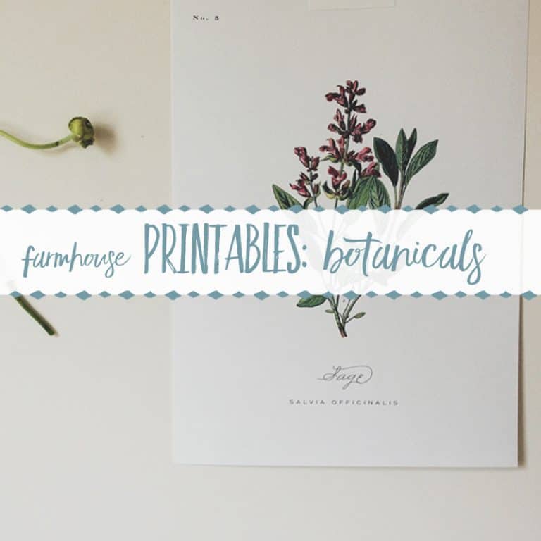 100+ Free Farmhouse Printables- Botanical Sets