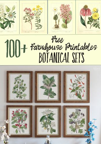 100+ Botanical Prints: Free Printables in Sets