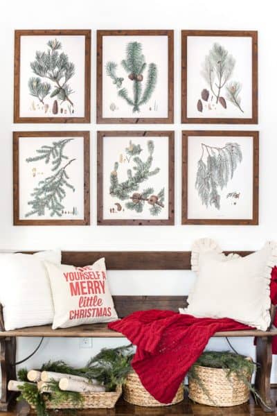 100+ Botanical Prints: Free Printables in Sets