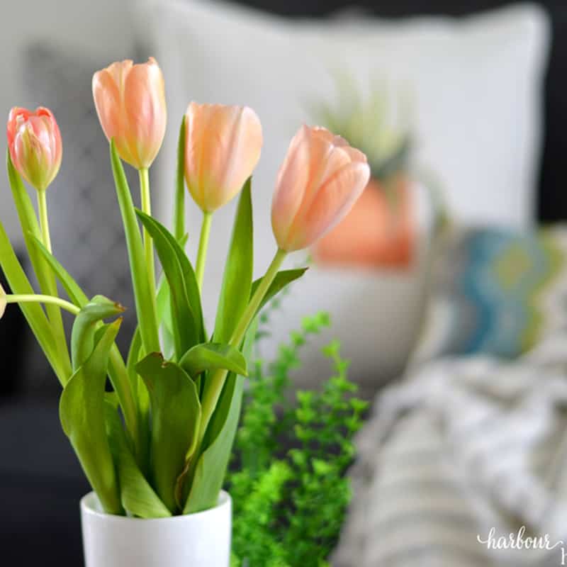 5 Simple & Affordable Ways to Refresh Your Home for Spring