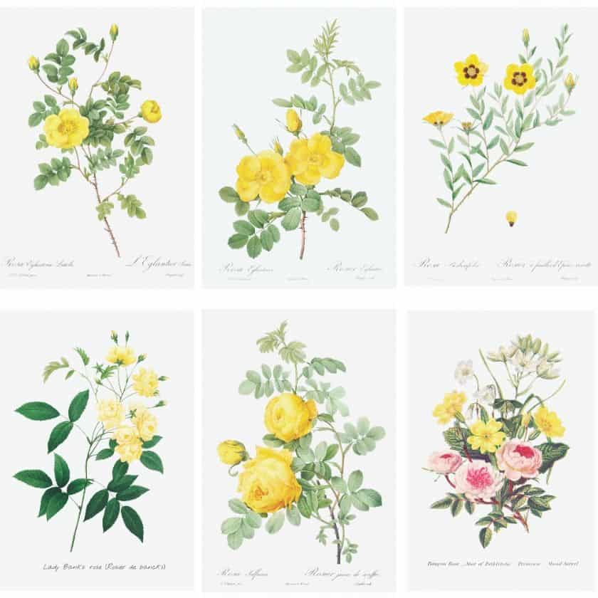 Spring Living Room Tour with 6 Free Yellow Rose Botanical Printables