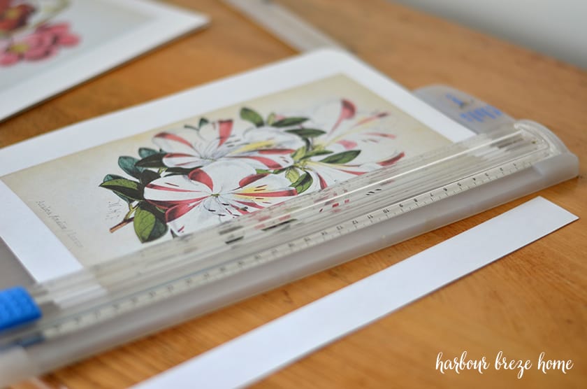 trimming a botanical flower print with a paper cutter