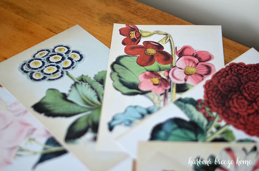 set of free printable wall art flowers trimmed and on a wooden desk