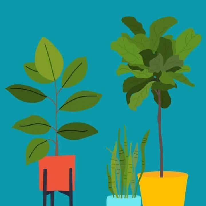 Image for 8 FREE MODERN PLANT ART PRINTABLES