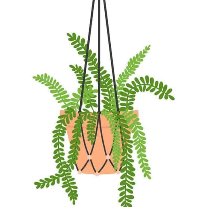 Image for 8 FUN & FREE PLANT ART PRINTABLES