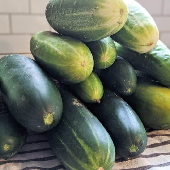 Image for Easy-Peasy Refrigerator Pickles