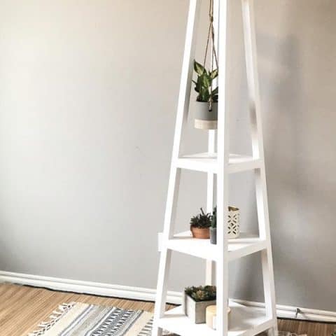 Image for DIY Plant Stand