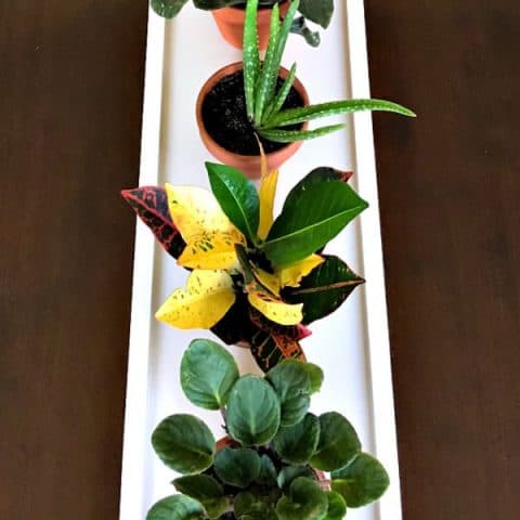 Image for Easy DIY Long Wooden Table Runner Tray