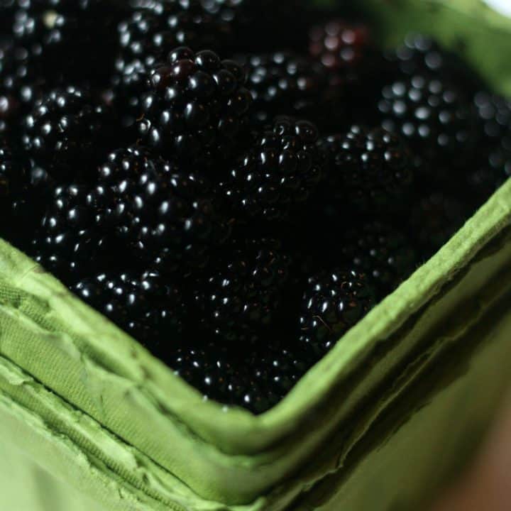 Image for How to Can Blackberry Jam to Enjoy All Year Long!