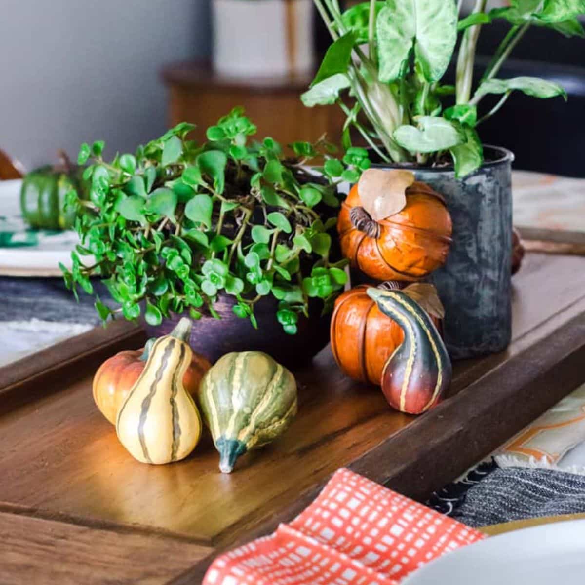 A Fall table centerpiece with plants and faux pumpkins.