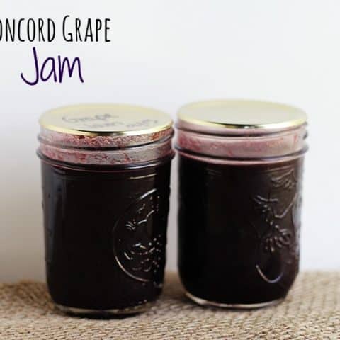 Image for Concord Grape Jam