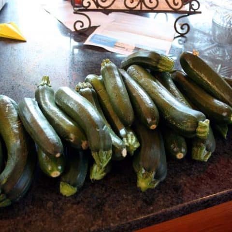 Image for Recipes for Canning Zucchini Part II: How to Deal with Zucchini Overload