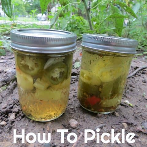 Image for How To Pickle Hot Peppers