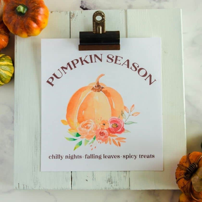 Free pumpkin printable watercolor art that says "pumpkin season"