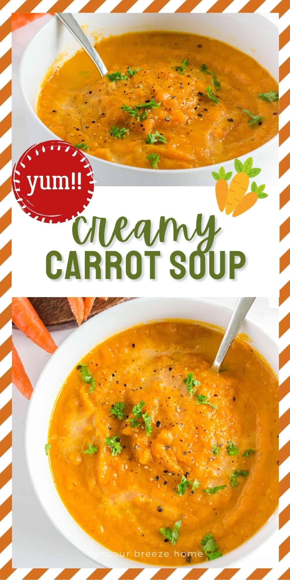 Creamy Curried Carrot Soup - a perfect dinner idea or appetizer soup recipe.