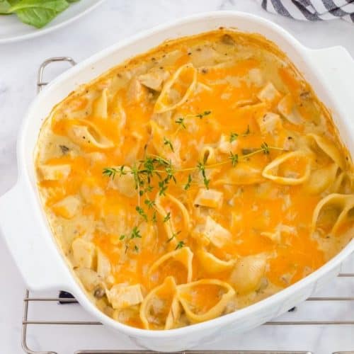 pan of leftover turkey pasta casserole