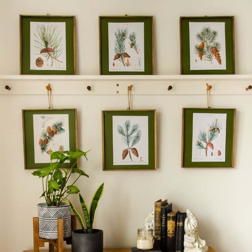 Easy Wall Art Using Free Winter Botanical  Prints