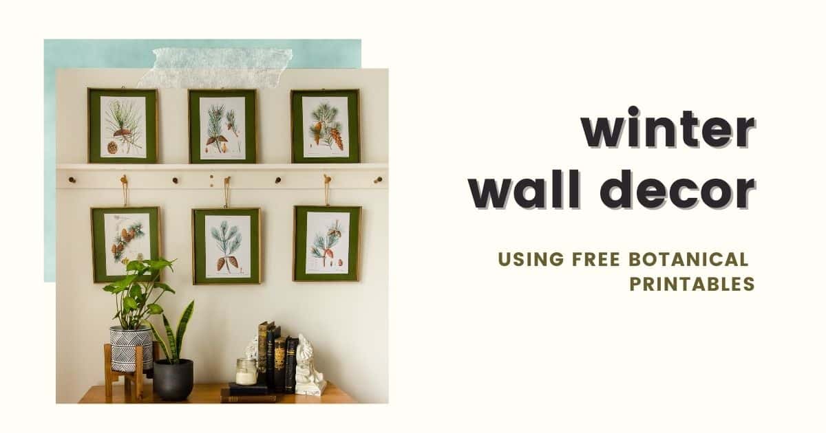 Free Botanical Prints for Winter Wall Decor - Harbour Breeze Home