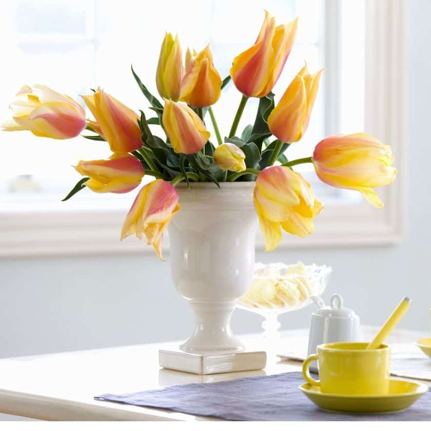 Easy Breezy Reads – Inspiration & Ideas for You & Your Home