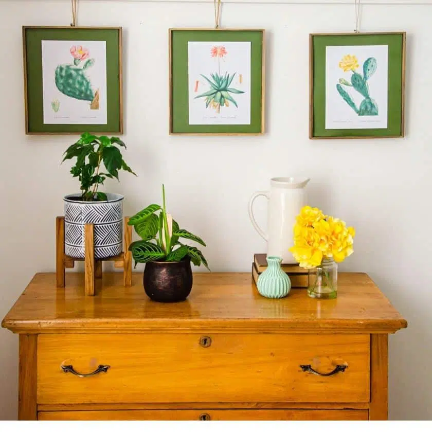 Free Botanical Cactus Wall Art Printables