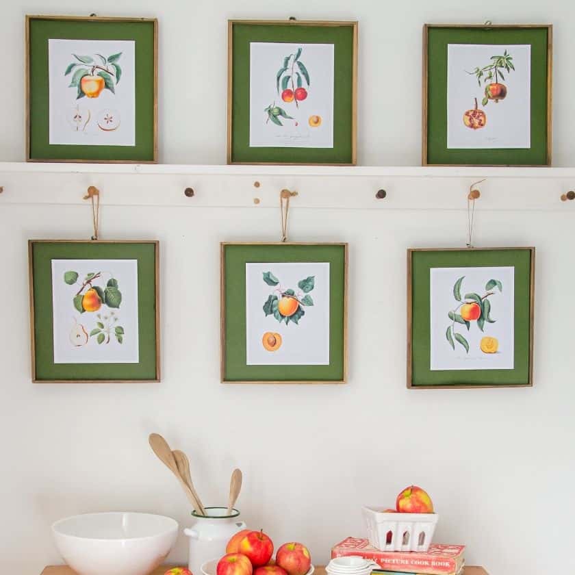 Free Wall Art Printables (Botanical Fruit Prints)