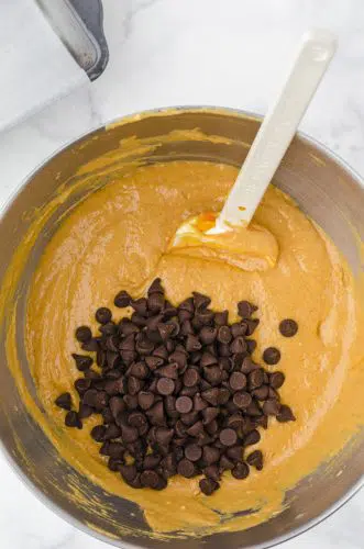 chocolate chips being stirred into pumpkin bread batter
