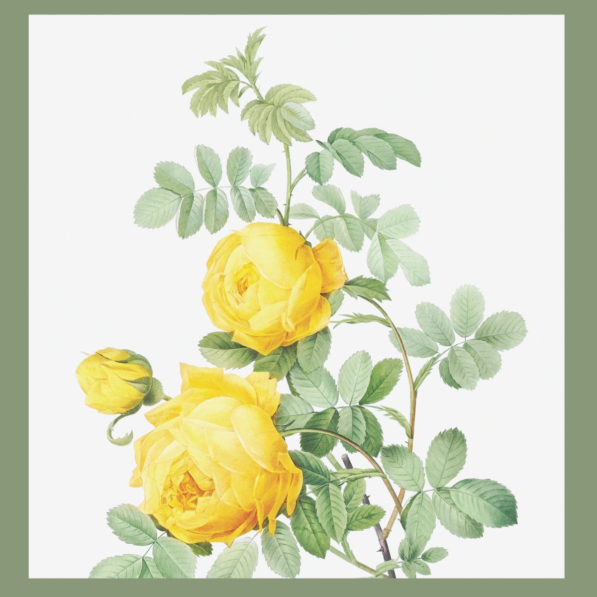 Modern Farmhouse Printables with Flowers
