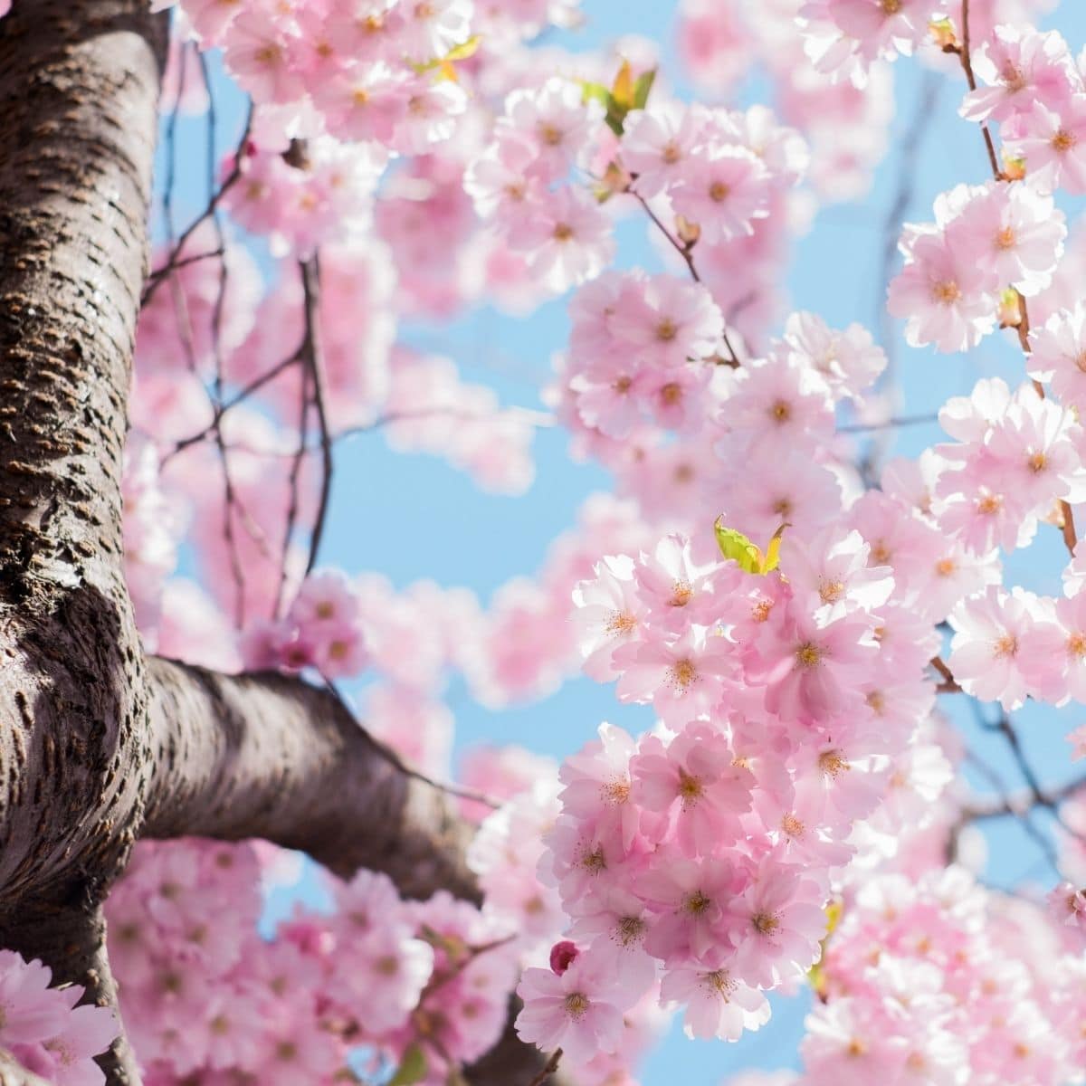 Easy Breezy Weekend Reads – Sweet Finds on the Web
